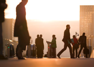 Phasellus tempor libero nisl, at eleifend